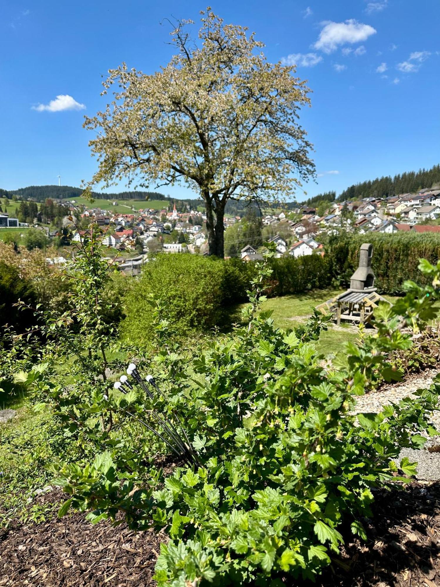 Sonneck Schonach Leilighet Schonach im Schwarzwald Eksteriør bilde